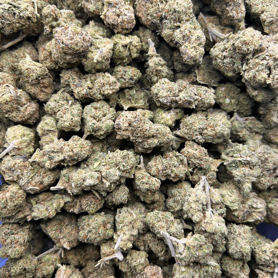 London Pound Cake CBD Flower (Indoor) — 24% CBD