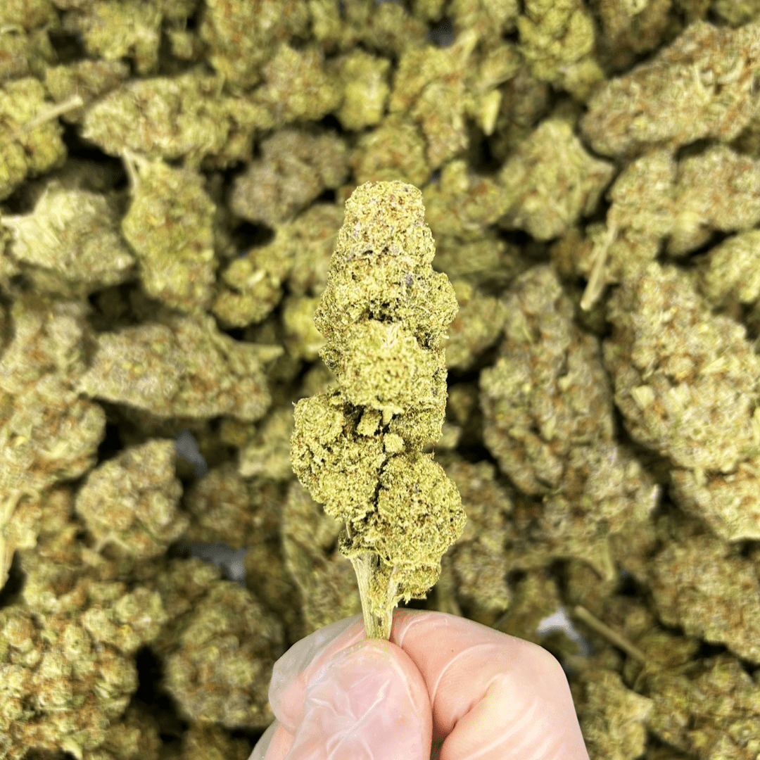 London Pound Cake CBD Flower (Indoor) — 24% CBD - Image 2